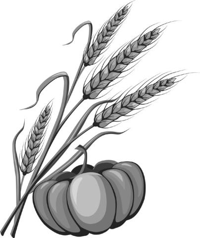 Alt Text for Image