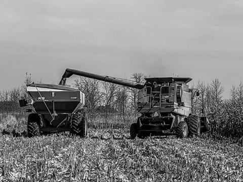 Corn harvest at a farm near Mapleton, North Dakota during the autumn of 2024. Farmers await further news of how the trade war will impact them if tariffs against Canada and Mexico go into effect. China levied a 15% charge on corn on Mar. 10 after U.S. tariffs went into effect. Photo by Sabrina Halvorson, NDNC CEO.