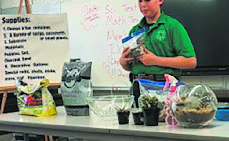 John M. demonstrates how to build a desert terrarium. Submitted photo