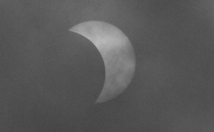 My Two Cents | Women’s Basketball and the Eclipse by Mike Alan Steinfeldt
