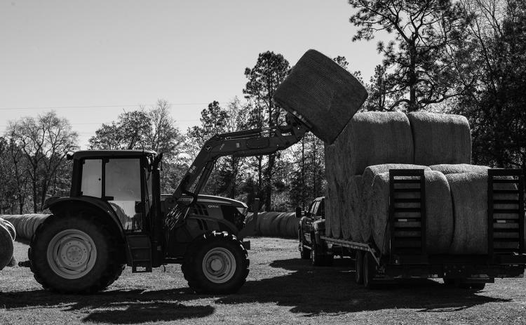 Loads such as seed, fertilizer, equipment and hay bales are subject to vibration, swaying, centrifugal force, inertia, wind and other forces during transit. (USDA photo)