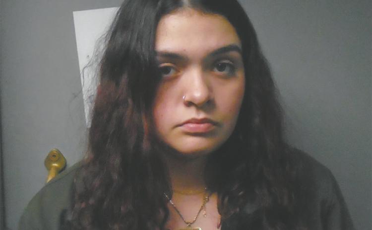 Grand Forks woman arrested for assault, terrorizing in Park River