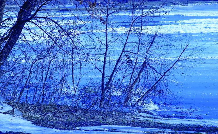 The last of the Autumn leaves still clinging to the trees mixed with icicles and frozen chunks floating upstream can be seen along the Red River banks. VNV Photo by Lesa Van Camp
