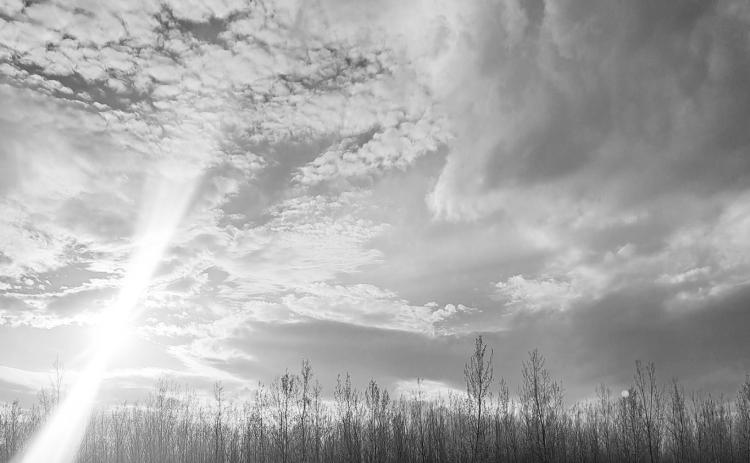 Along the way | Nature’s knowledge