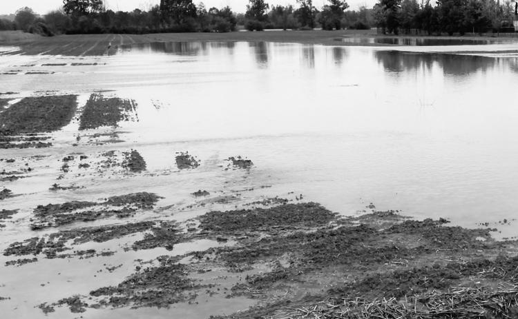 NDSU Extension specialists say now may be a good time to evaluate the economics of prevented planting, so a decision can be made if weather events delay planting to the crop insurance final planting date. (Pixabay photo)