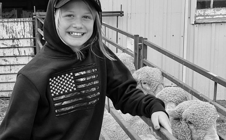 Sheep production offers youth an opportunity to grow a business, learn record keeping and manage finances. (NDSU photo)