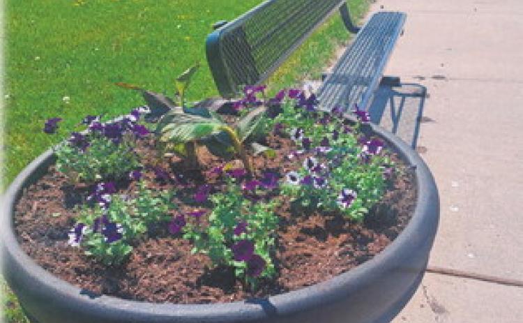 Caring for Community