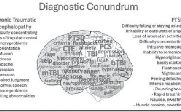 PTSD Awareness