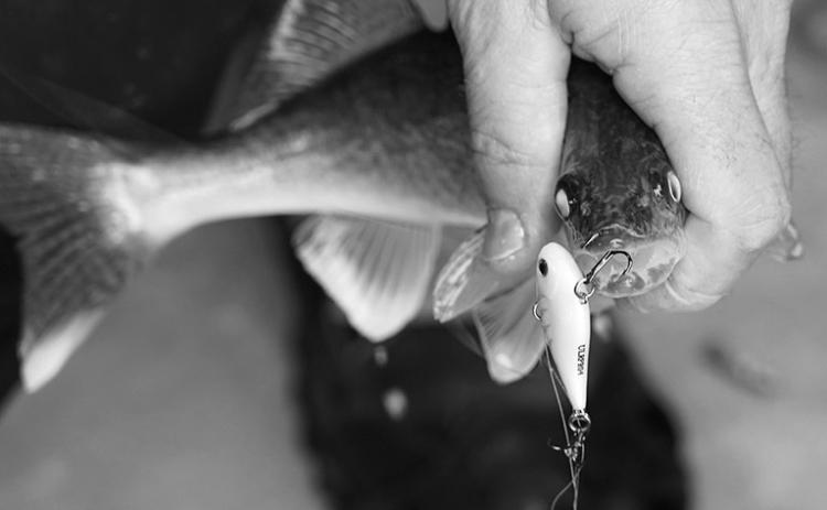 In North Dakota, some fishing regulations in the winter differ from summer regulations. Photo by NDGF