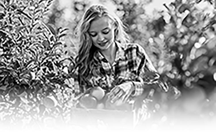 Goehring announces availability of orchard grants