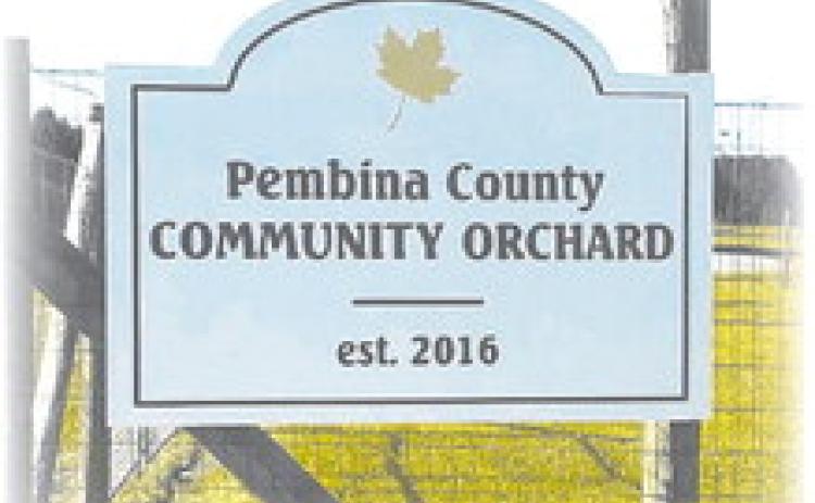The Pembina County Community Orchard was established in 2016 on the grounds of the Pembina County Historical Museum in Cavalier, N.D.