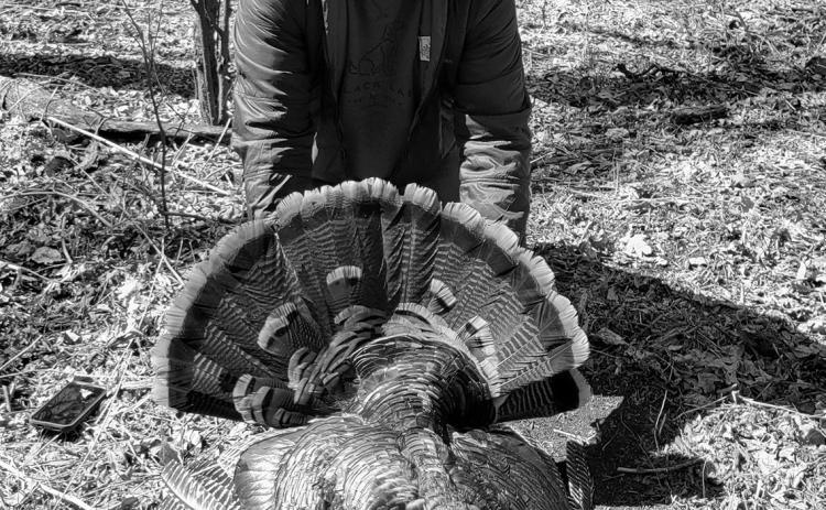 My Two Cents | Talkin’ Turkey – part 2 by Mike Alan Steinfeldt