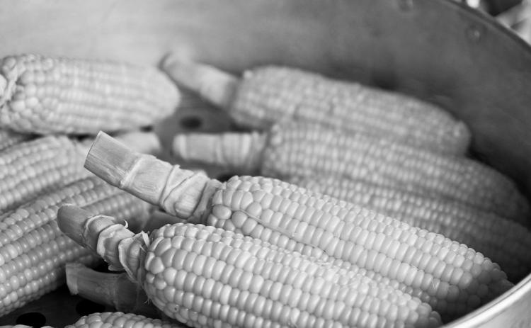 To blanch corn on the cob, bring water to a boil, add the cobs and then begin the timing process when the water begins boiling again. Pixabay photo