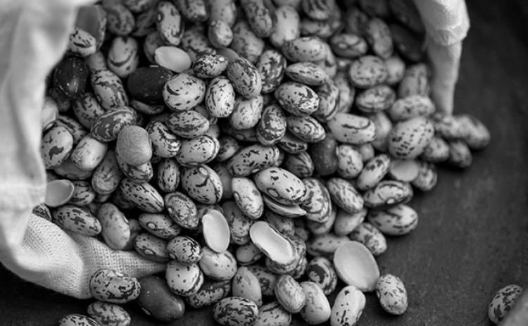 Beans are high in fiber, which is good for digestion. Pixabay photo