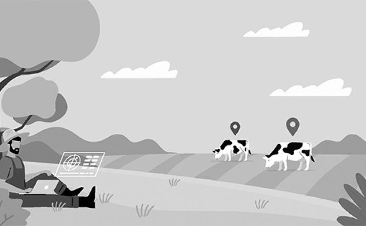 Scholarships offered by the North Dakota Stockmen’s Foundation in 2024