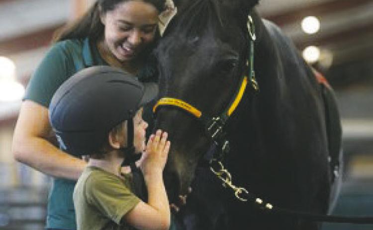 Bison Strides horses help participants develop self-confidence, strength, mindfulness and independence. (NDSU photo)