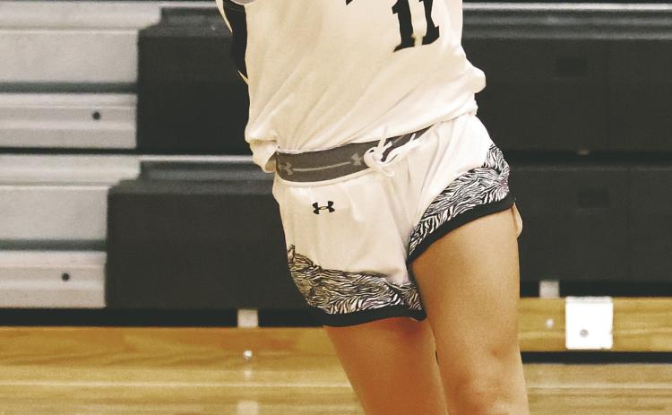 Jacey Nelson passes to an open team mate in action against Hatton-Northwood. Photo by Lyle Van Camp.