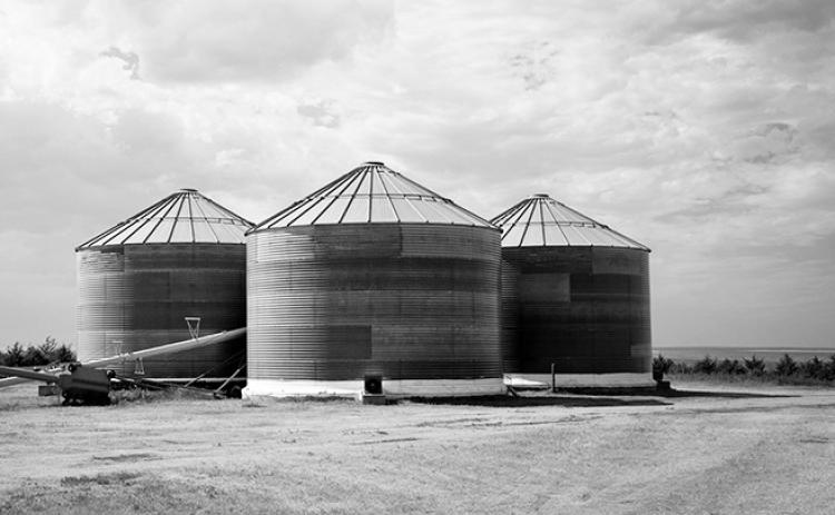 Stored grain should be monitored closely to detect any storage problems early.