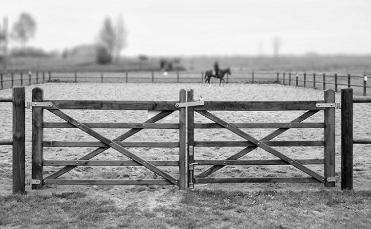 The fencing school afternoon sessions will focus on live construction demonstrations, fencing tools and fencing materials.