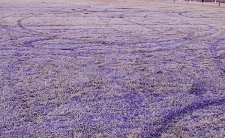 Pictured above are the tracks left by the joy riders who tore up the football field over the weekend. VNV Photo by Lesa Van Camp