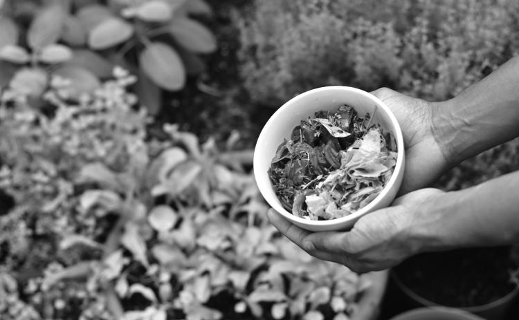 By implementing cost-saving strategies, you can create a high-production home garden without breaking the bank. (Unsplash photo)