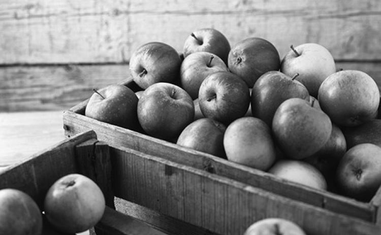 Eating apples may decrease our risk for heart disease and certain types of cancer, and it may help improve lung function.