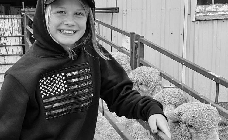Sheep production offers youth an opportunity to grow a business, learn record keeping and manage finances. NDSU photo