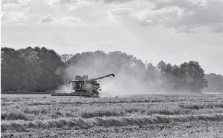 Our modern-day agriculture workers continue to toil to provide food for the world, but in more efficient ways. (Pixabay photo)