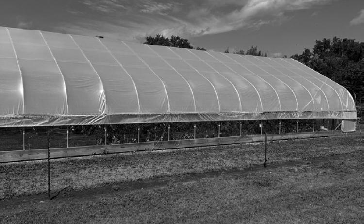 Fruit, vegetable and woody plants field day