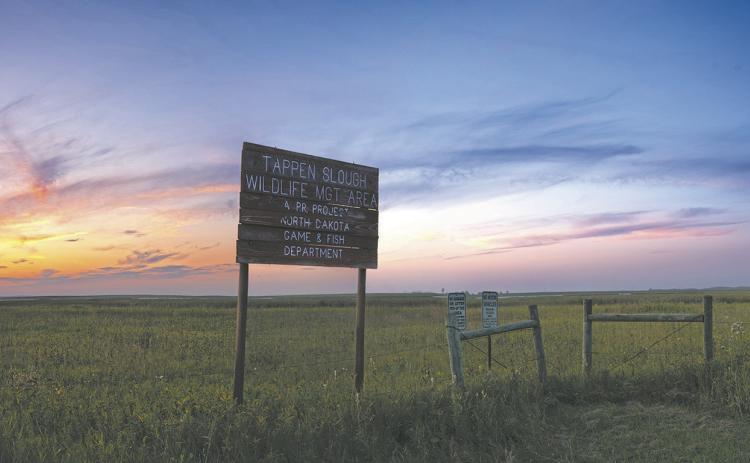 When recreation begins to degrade habitat or push wildlife off the land they depend on, the balance tips. That is why you see specific rules on WMAs. Photo by NDGF