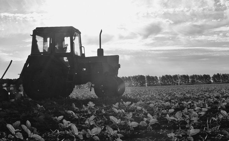 Goehring activates Harvest Hotline