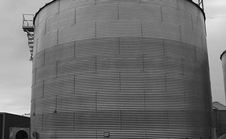 Be proactive against mold growth in grain storage by monitoring temperature and moisture. (NDSU photo)