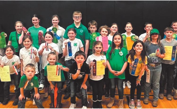 4-H Communication Arts