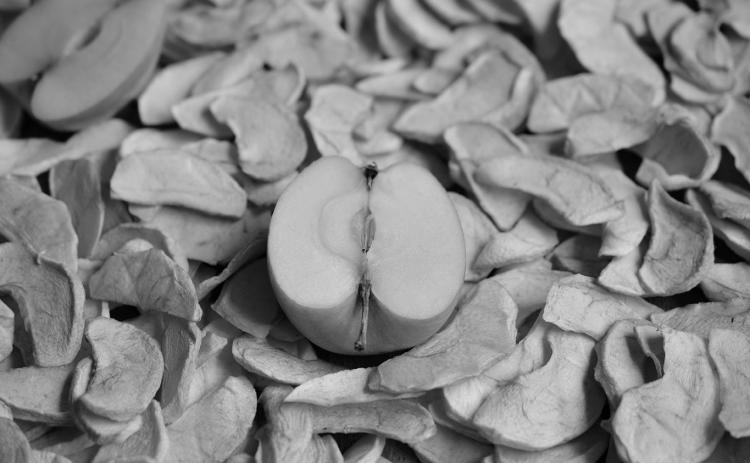Prairie Fare: Preserving