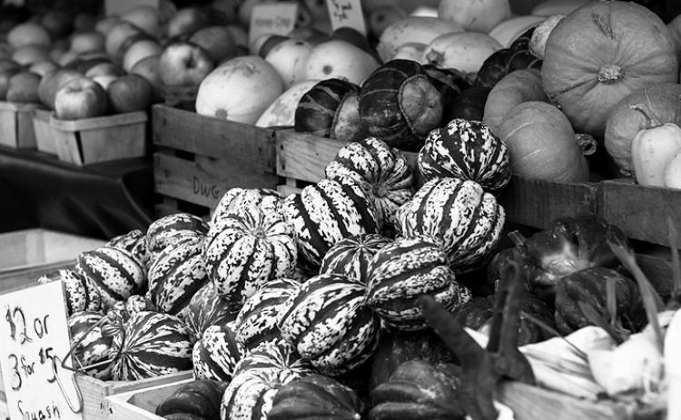 Local foods tend to be more nutritious and flavorful because the food did not travel far to reach you.