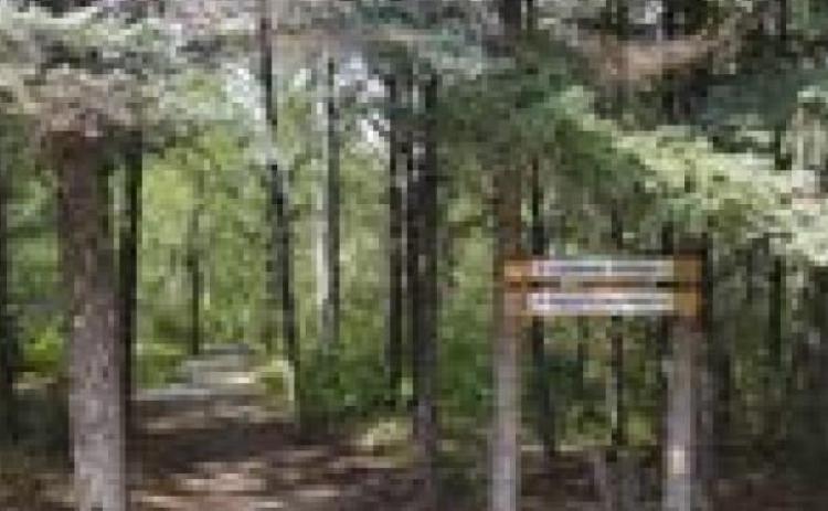 Frost Fire Park Mountain Bike Trail System ‘Demolished’