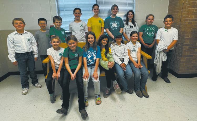 Pembina County 4-H’ers participate in communication art event