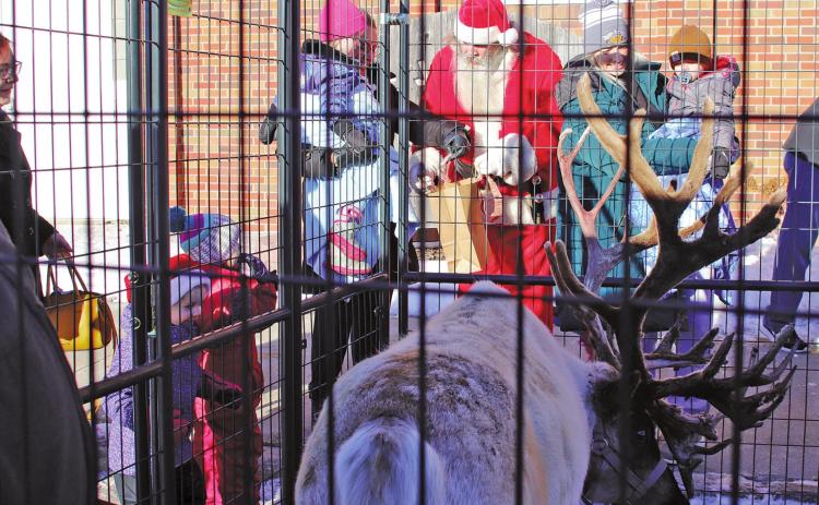 Santa handed out treats to the children who were at the H. G. Johnson Hall to see the reindeer from Reindeer Ranch owned by the Vernon Hoselton Family. Olaf is the reindeer that is pictured, Olaf had Rosie and Gertie with him on Saturday. VNV Photo by Lesa Van Camp