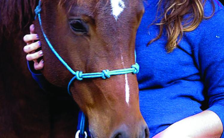Jessie Bailey was awarded PATH Intl. Equine Caretaker of the Year. (NDSU photo) healthy and happy.”