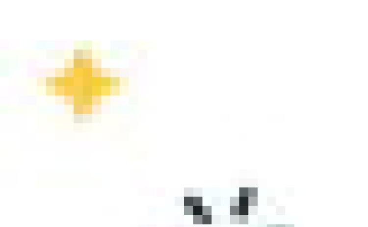 Alt Text for Image