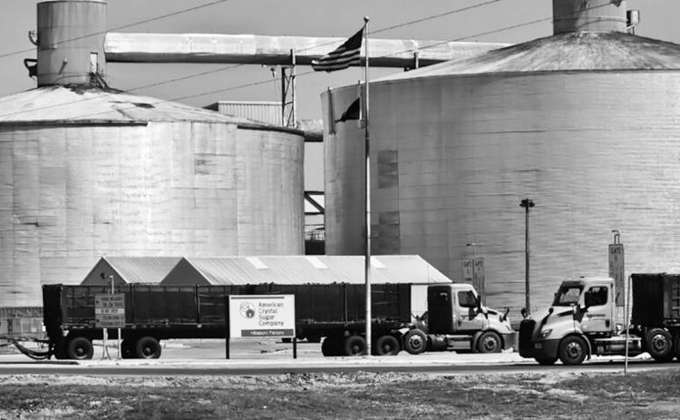 Trucks go in and out of the American Crystal Sugar beet processing plant at Hillsboro, N.D., on May 4, 2025. Jeff Beach/North Dakota Monitor