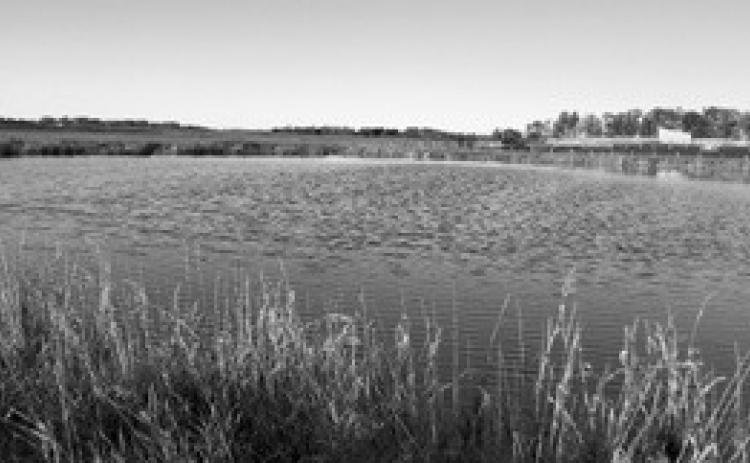Reducing personal stress can make it easier to weather tough times caused by flooding or other concerns. (NDSU photo)