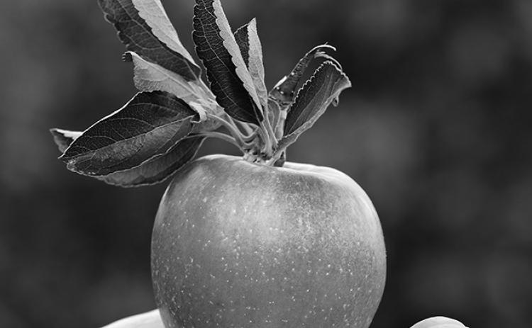 An apple has about 100 calories, and it contains potassium, vitamin C and other nutrients. Pixabay photo