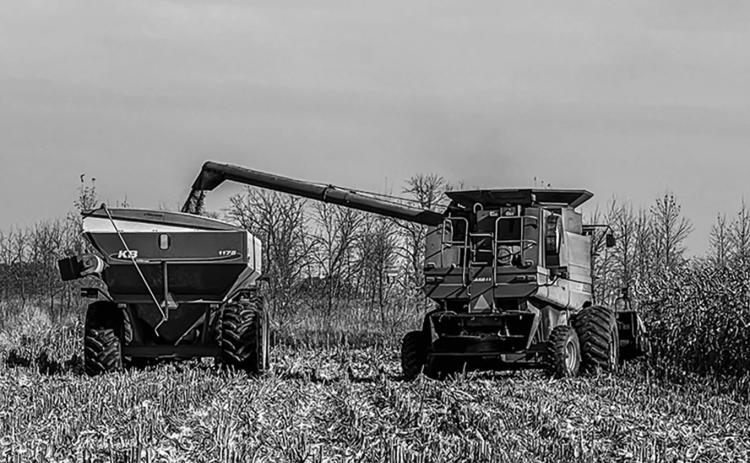 Corn harvest at a farm near Mapleton, North Dakota during the autumn of 2024. Farmers await further news of how the trade war will impact them if tariffs against Canada and Mexico go into effect. China levied a 15% charge on corn on Mar. 10 after U.S. tariffs went into effect. Photo by Sabrina Halvorson, NDNC CEO.
